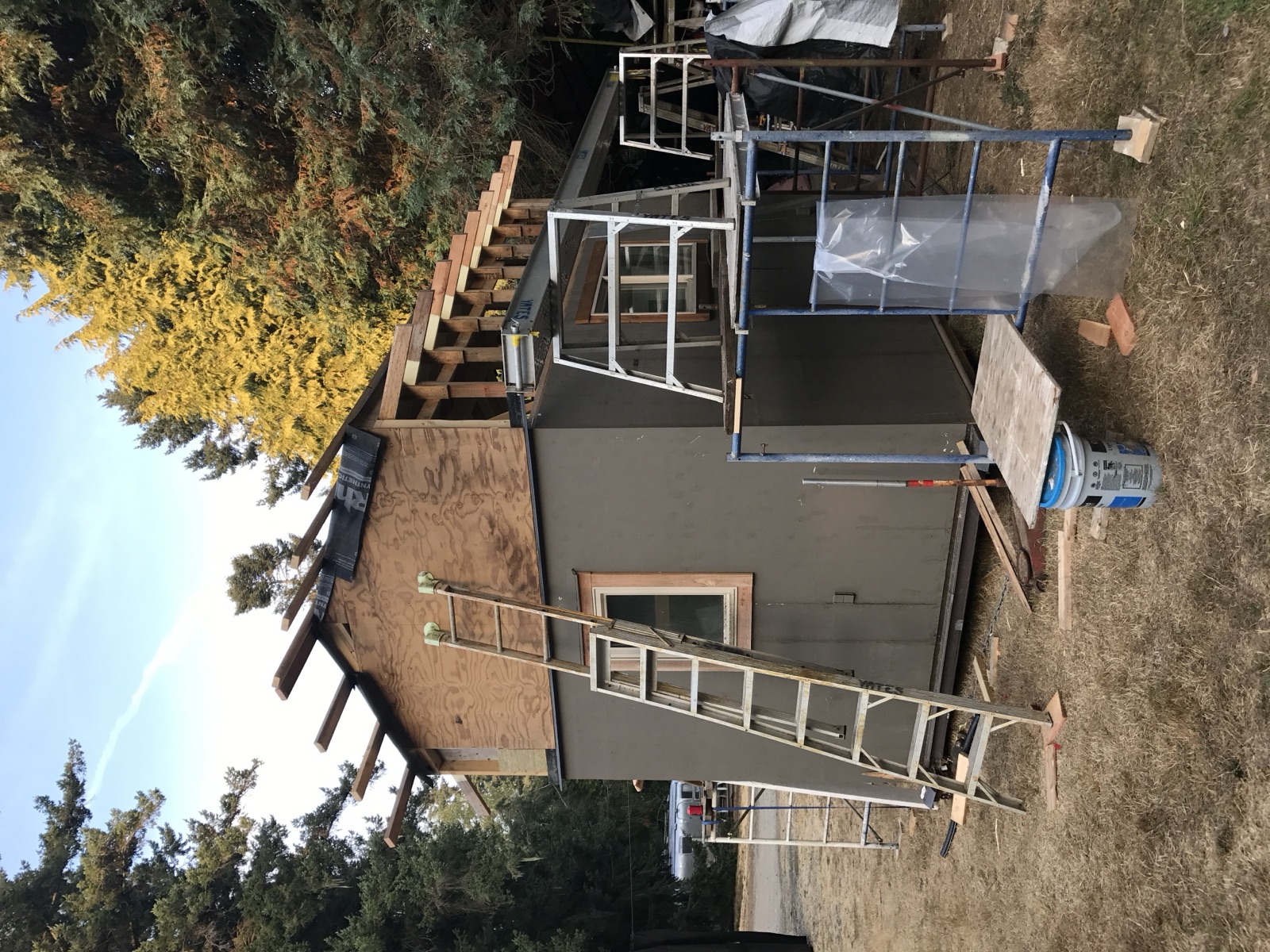 Salvaged Cabin — photo 2